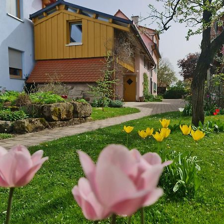 Ferienwohnung Wiesenhof Neuhof an der Zenn Exteriör bild